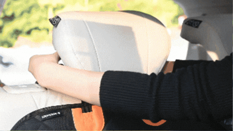 Protector de Asiento de Sillas de Auto para Mascota