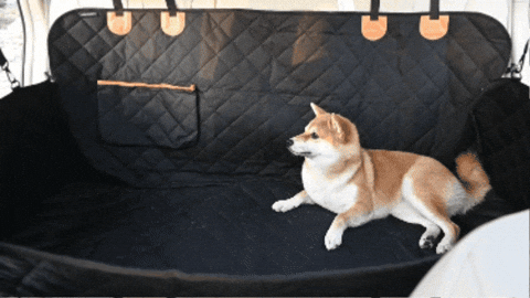 Protector de Asiento de Sillas de Auto para Mascota